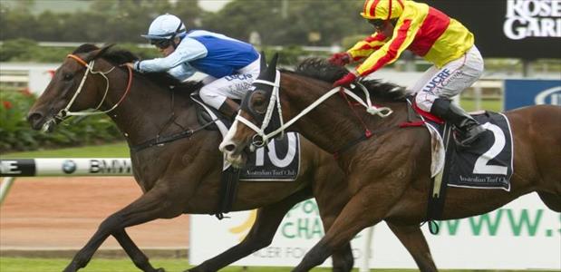 Zephyron - Rosehill - 10/05/2014